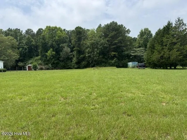 0 Shady Lane Road Willard, NC 28478