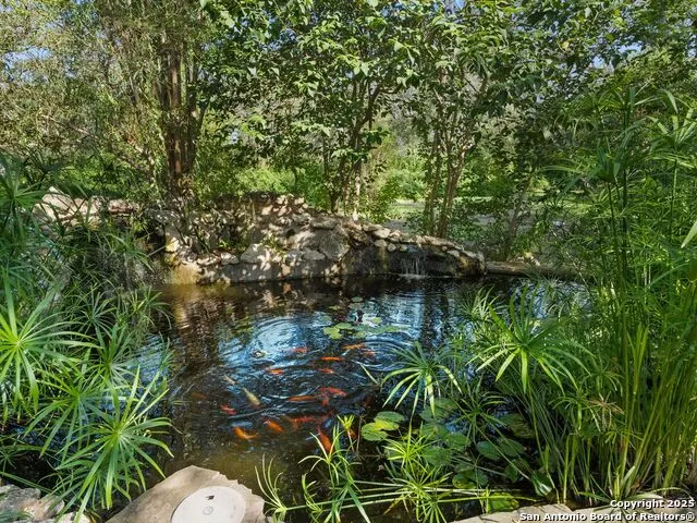 5 ASHIN WAY Hill Country Village, TX 78232