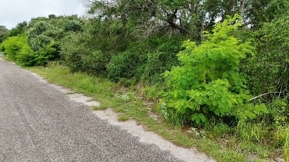 S Lamont Aransas Pass, TX 78336