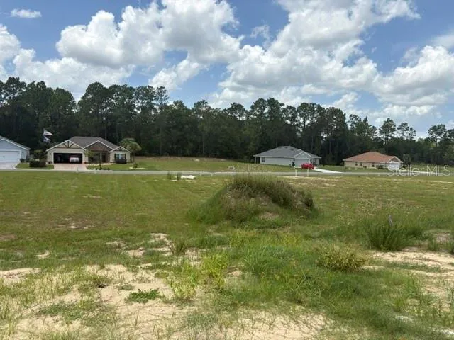 7184 SW 179TH COURT ROAD Dunnellon, FL 34432