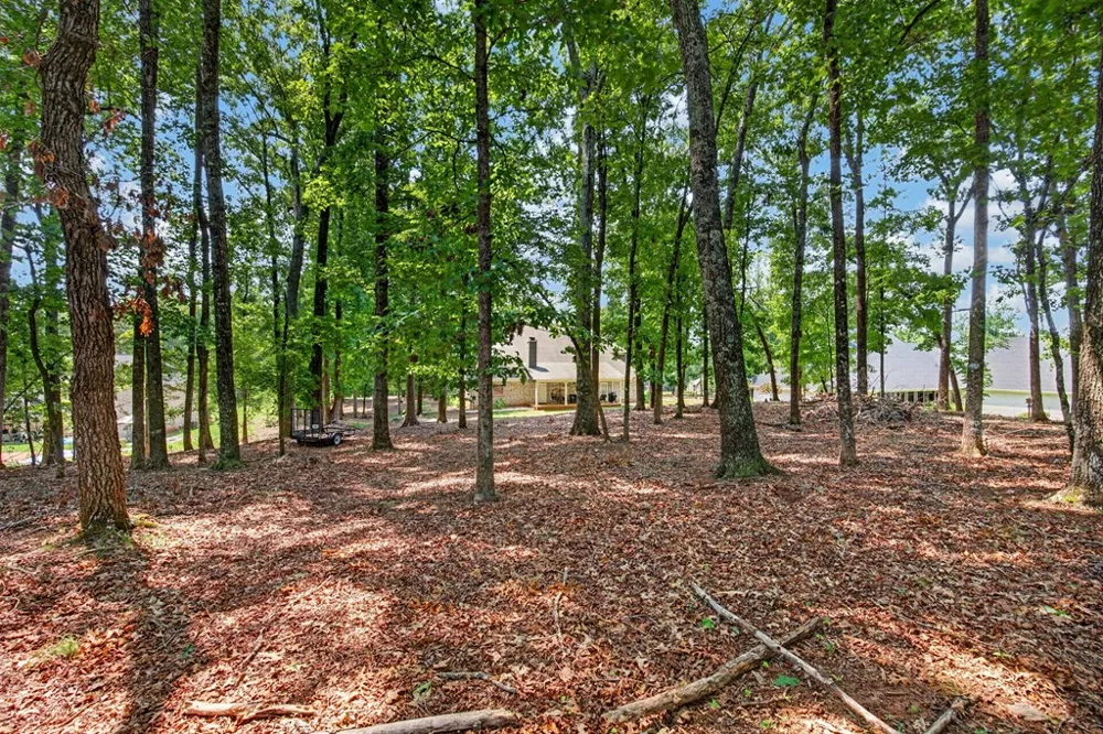31 Boxwood Court Midland, GA 31820