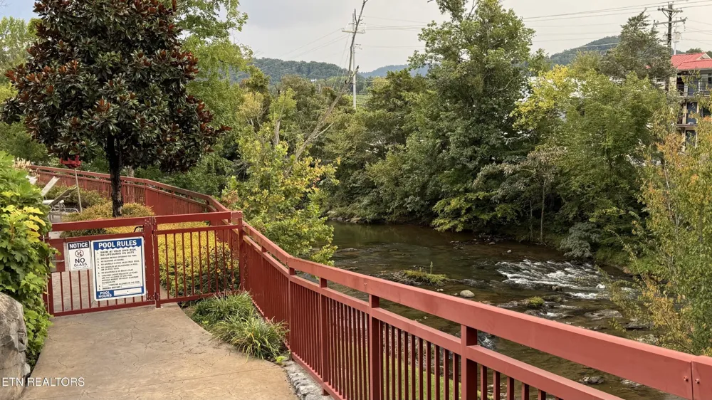 212 Dollywood Ln #420 Pigeon Forge, TN 37863