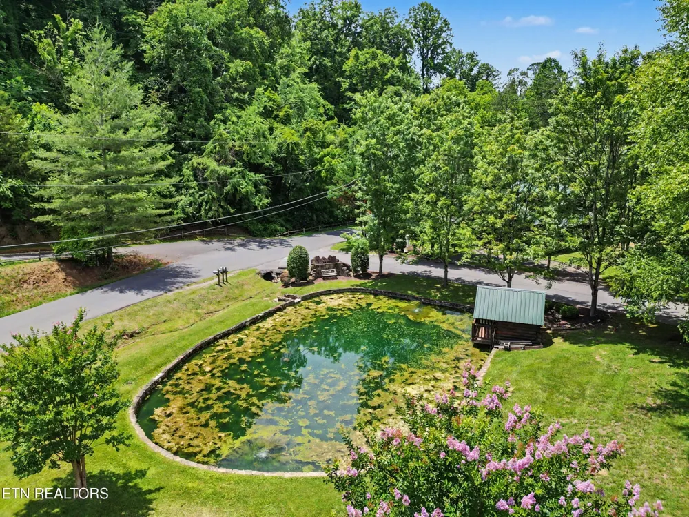 1629 Little Cabin Loop Pigeon Forge, TN 37862