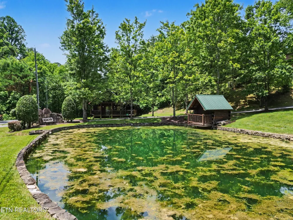 1629 Little Cabin Loop Pigeon Forge, TN 37862
