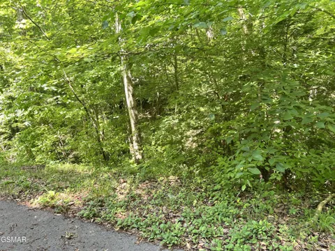110 Fir Drive