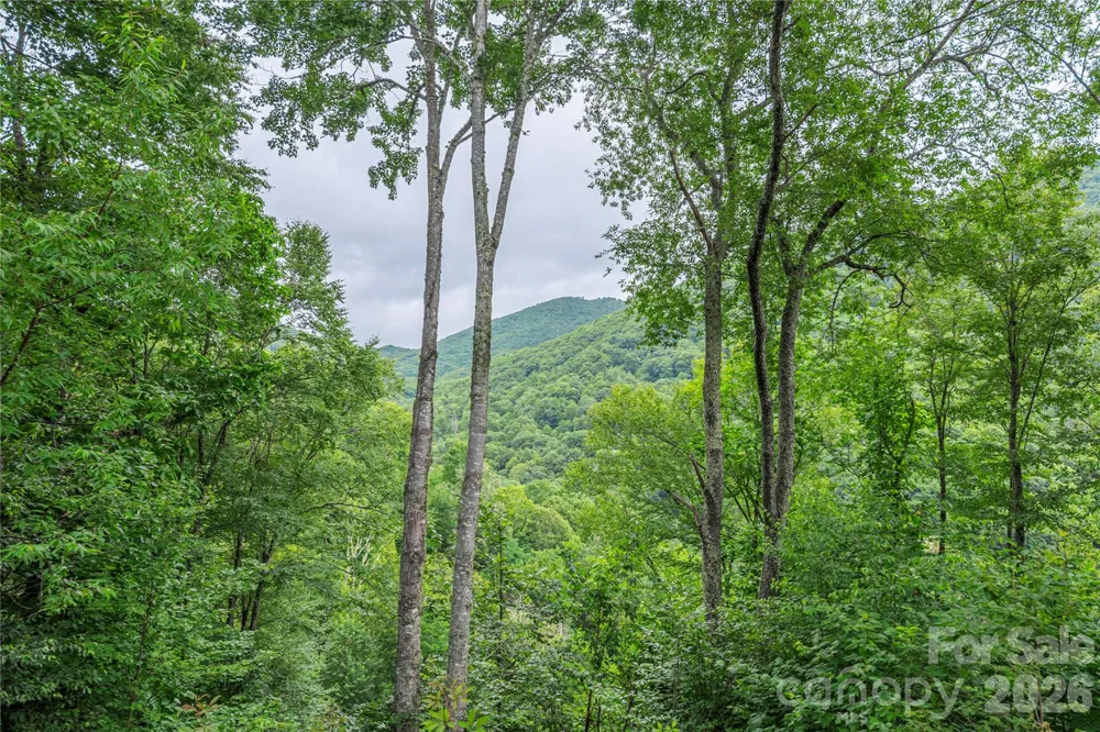 309 Irene Lane Maggie Valley, NC 28751