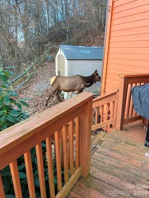 309 Irene Lane Maggie Valley, NC 28751