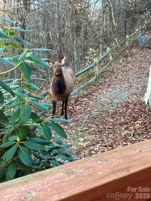309 Irene Lane Maggie Valley, NC 28751
