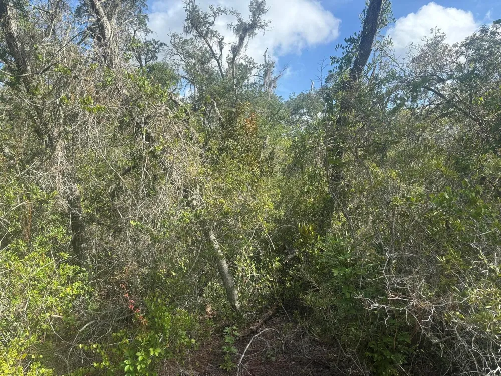 336 Stardust Avenue Lake Placid, FL 33852