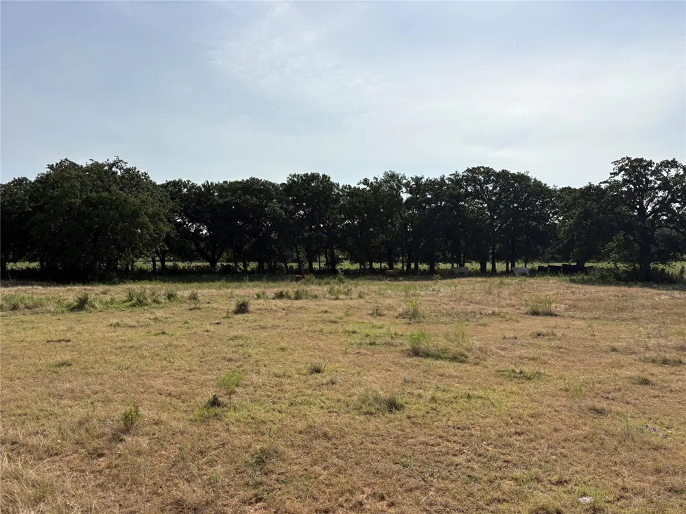 Highway 6 Hico, TX 76457