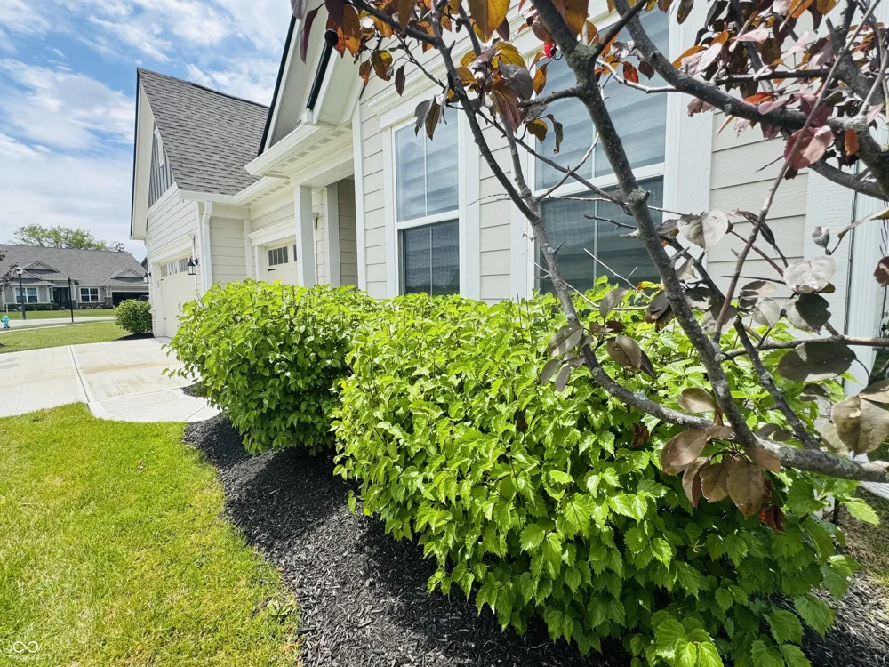 9680 Holborn Avenue McCordsville, IN 46055
