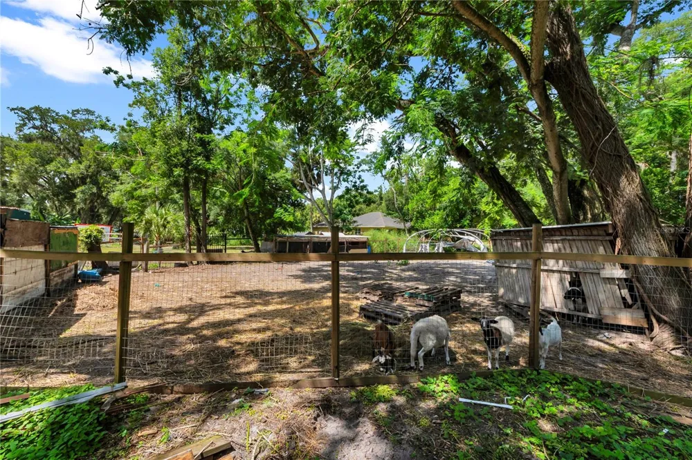 9922 ROCKHILL ROAD Thonotosassa, FL 33592