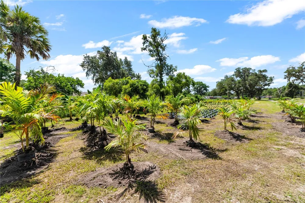 9922 ROCKHILL ROAD Thonotosassa, FL 33592