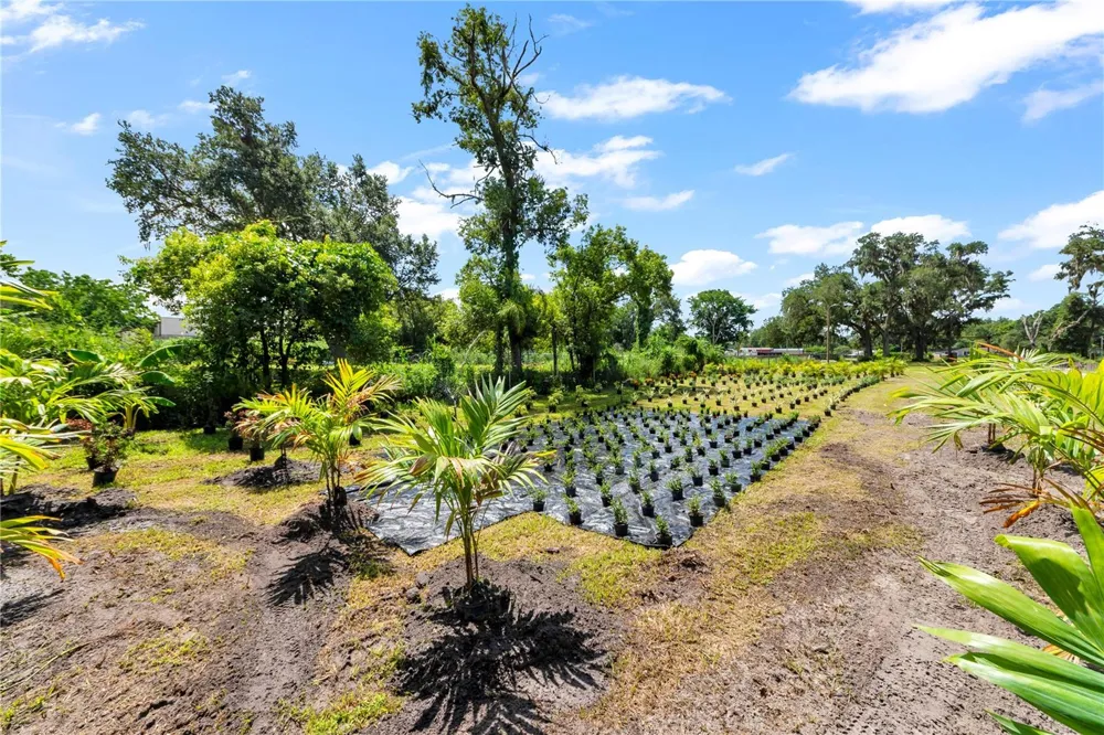 9922 ROCKHILL ROAD Thonotosassa, FL 33592
