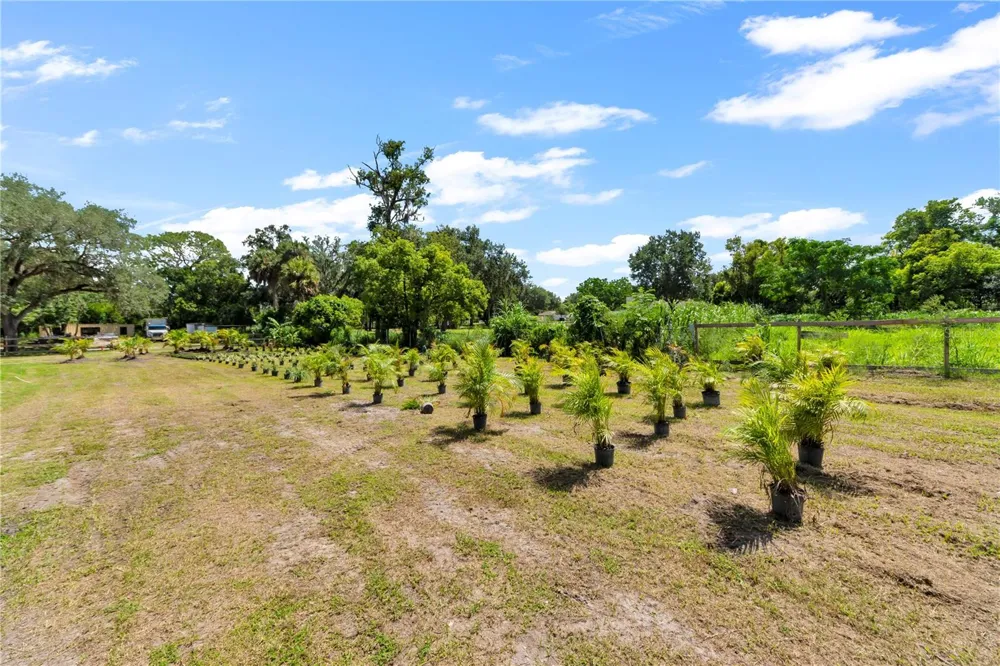 9922 ROCKHILL ROAD Thonotosassa, FL 33592