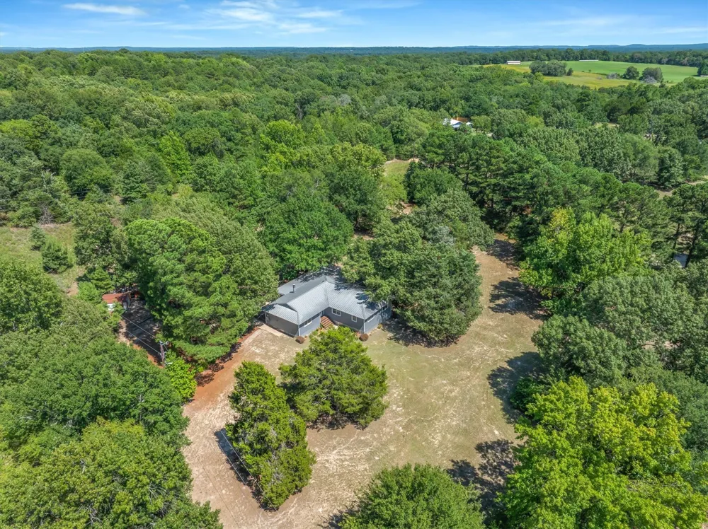 16973 FM 773 Ben Wheeler, TX 75754