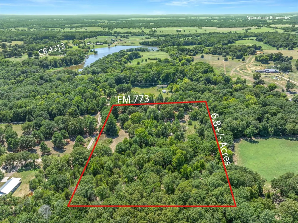 16973 FM 773 Ben Wheeler, TX 75754