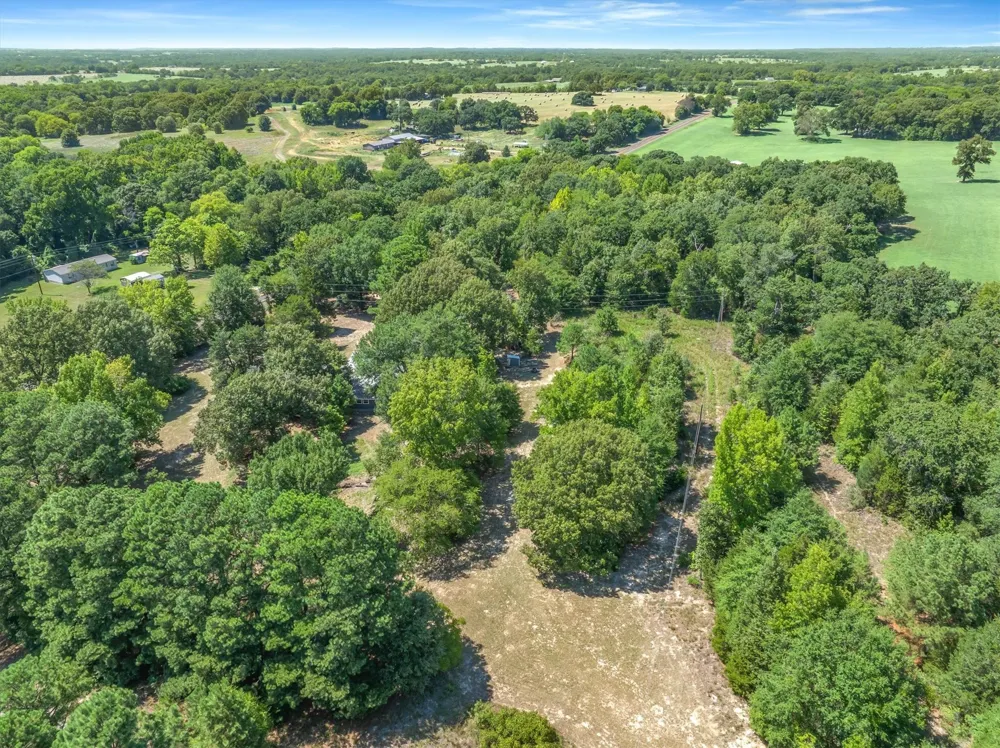 16973 FM 773 Ben Wheeler, TX 75754