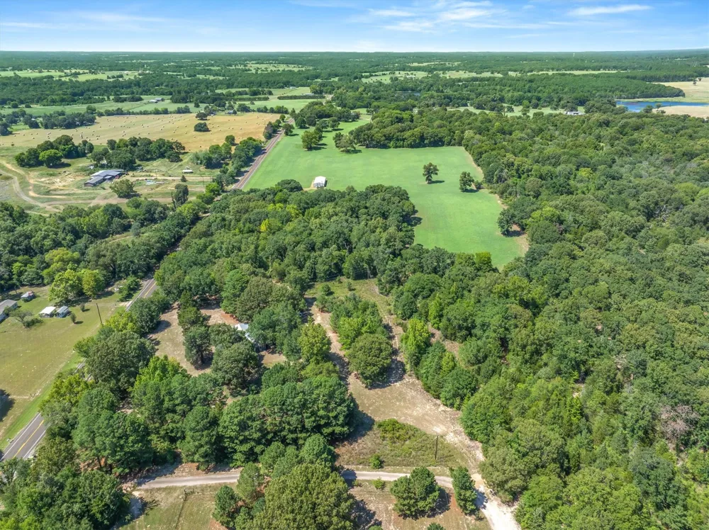 16973 FM 773 Ben Wheeler, TX 75754