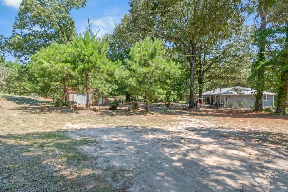 16973 FM 773 Ben Wheeler, TX 75754