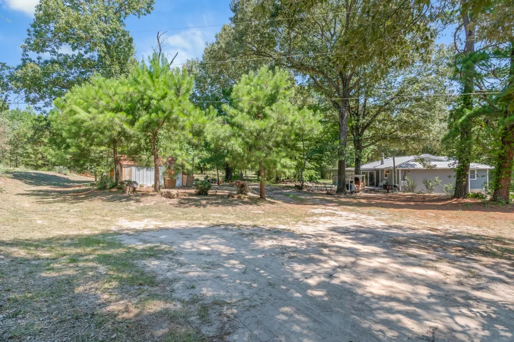 16973 FM 773 Ben Wheeler, TX 75754