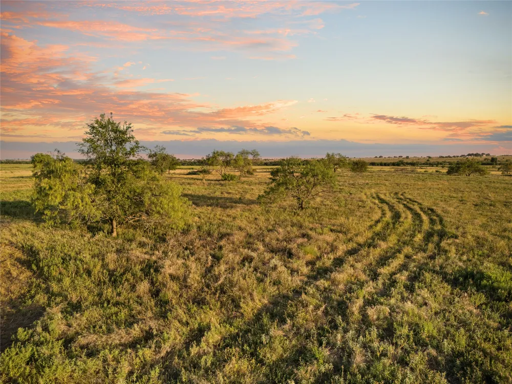 1549 FM 219 Clifton, TX 76634