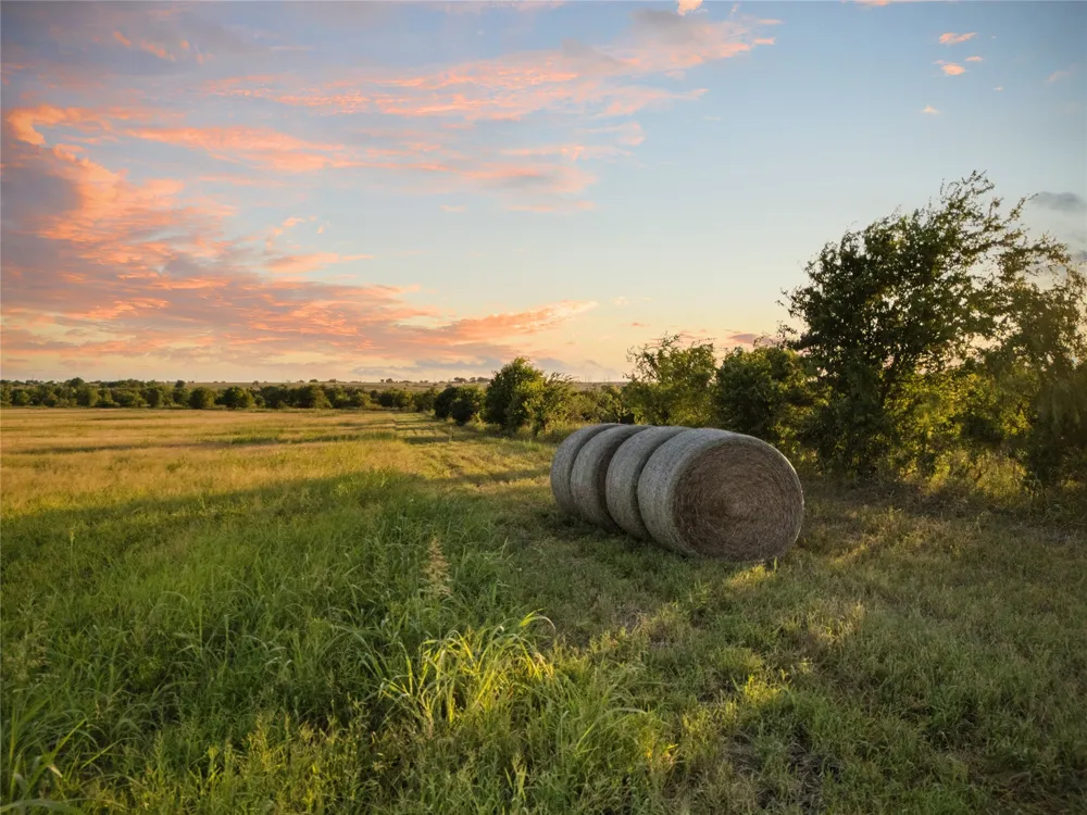 1549 FM 219 Clifton, TX 76634