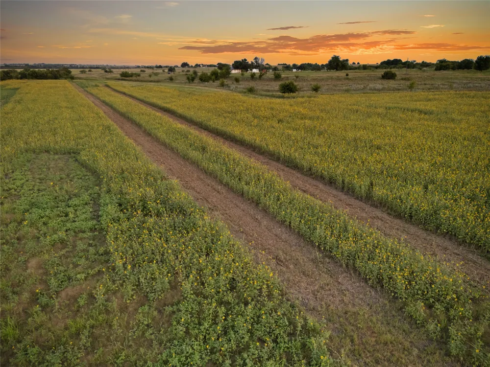 1549 FM 219 Clifton, TX 76634