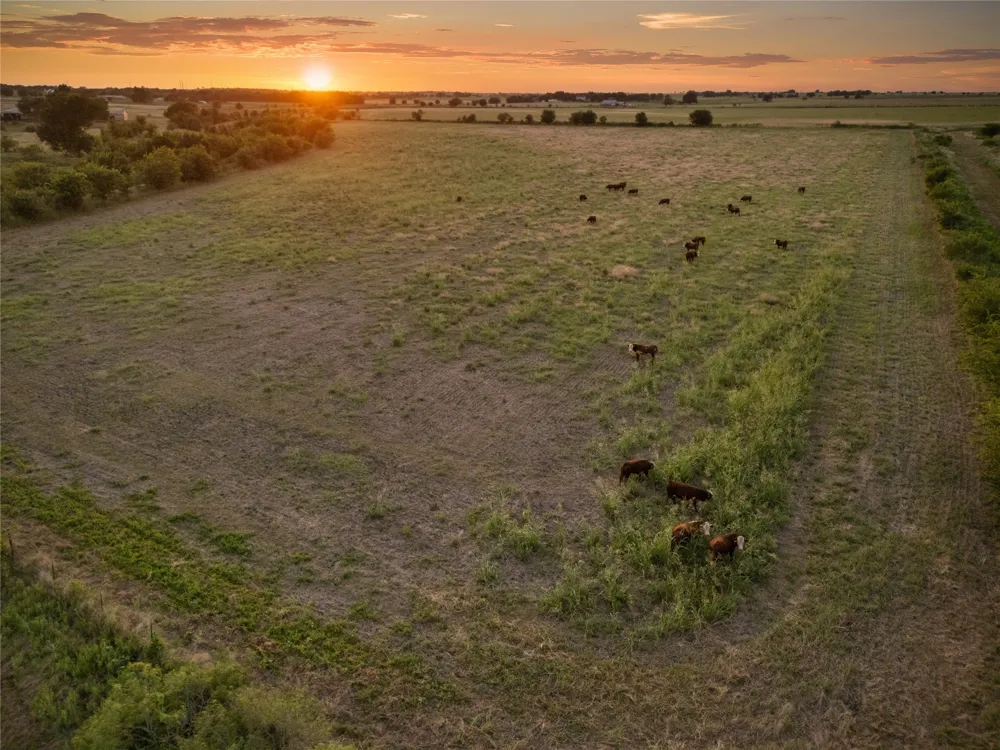 1549 FM 219 Clifton, TX 76634