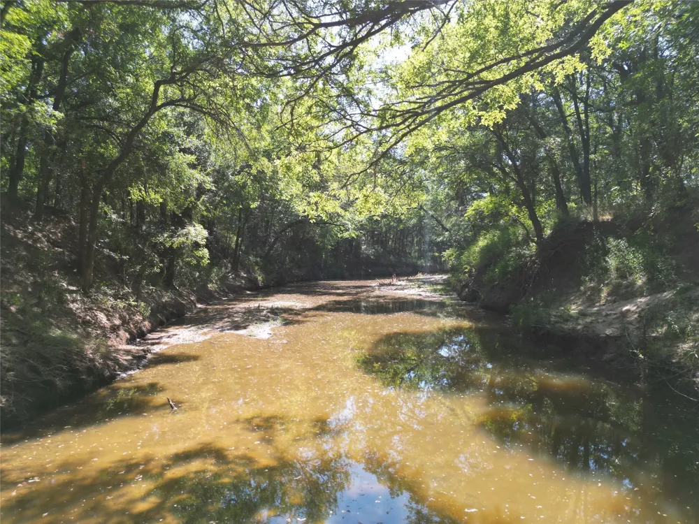 Co Rd 351 Eastland, TX 76448