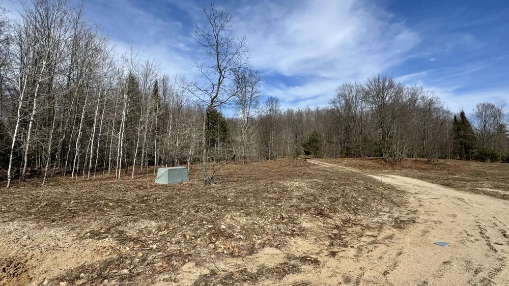 1 ROAD #Parcel G Buckley, MI 49620