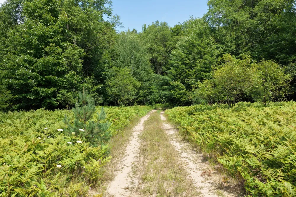 1 ROAD #Parcel G Buckley, MI 49620