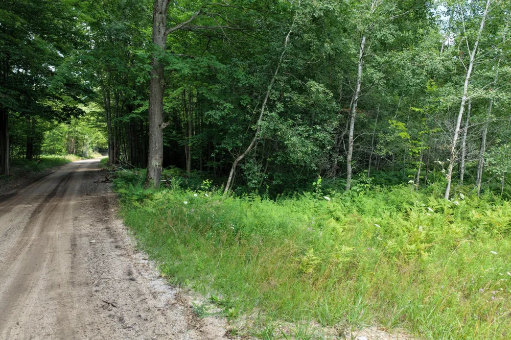 1 ROAD #Parcel G Buckley, MI 49620