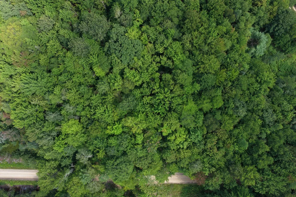 1 ROAD #Parcel G Buckley, MI 49620