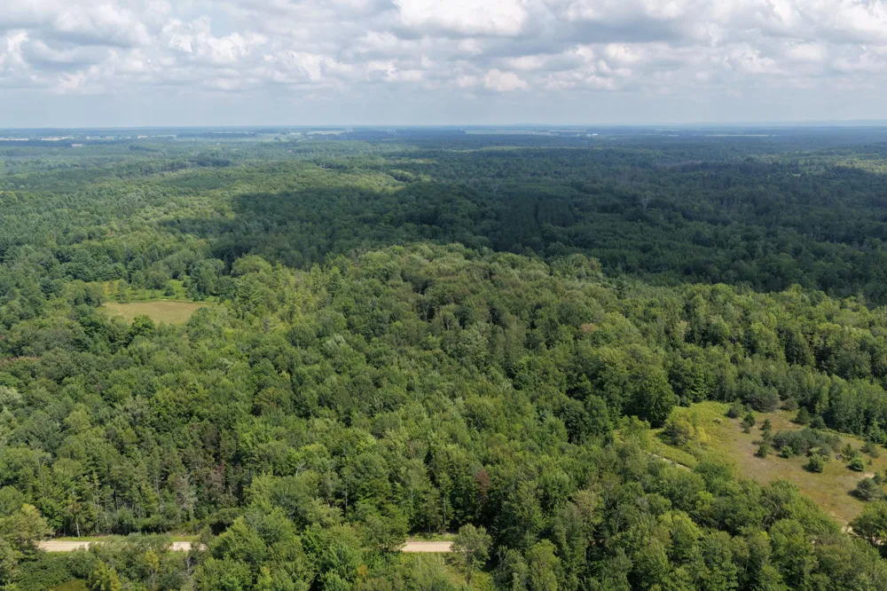 1 ROAD #Parcel G Buckley, MI 49620