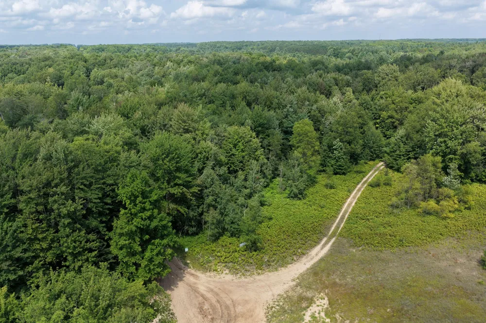 1 ROAD #Parcel G Buckley, MI 49620
