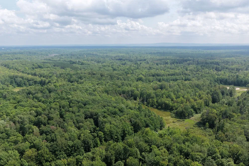 1 ROAD #Parcel G Buckley, MI 49620