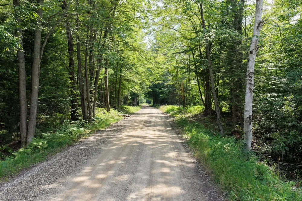 1 ROAD #Parcel G Buckley, MI 49620