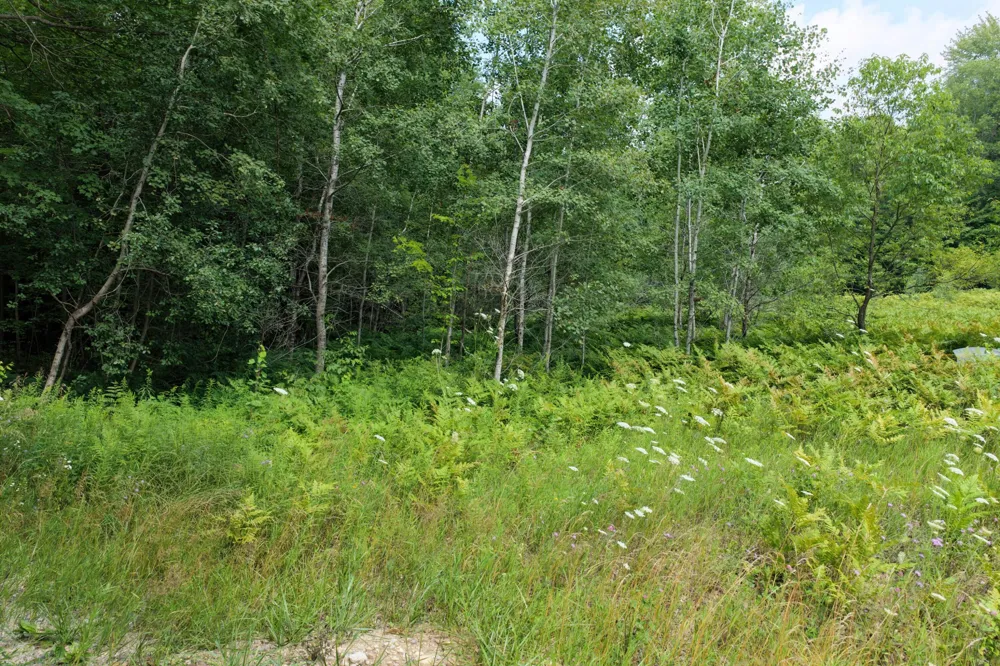 1 ROAD #Parcel G Buckley, MI 49620