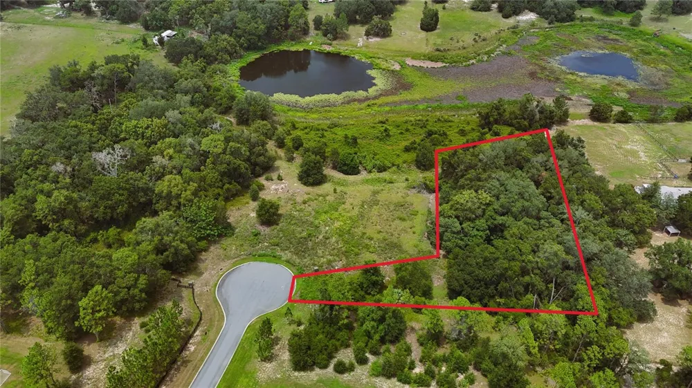 000 DARLINGTON AVENUE Lady Lake, FL 32159