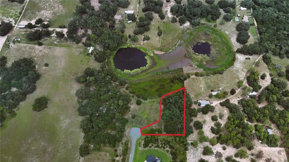 000 DARLINGTON AVENUE Lady Lake, FL 32159