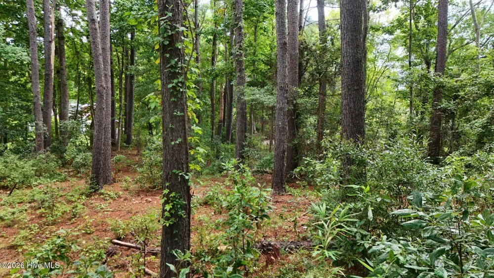 0 Horizon Crest Hampstead, NC 28443