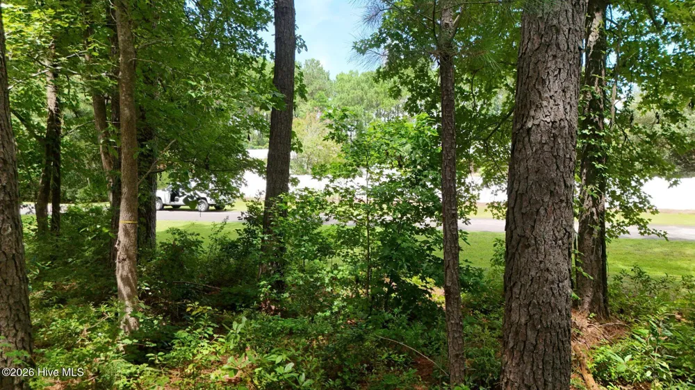 0 Horizon Crest Hampstead, NC 28443