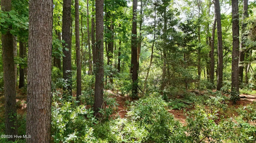 0 Horizon Crest Hampstead, NC 28443