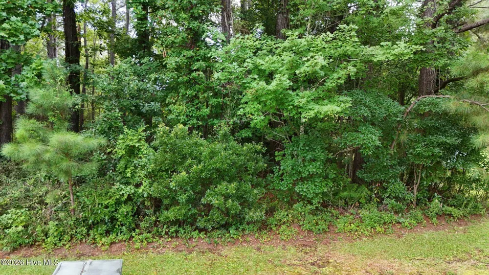 0 Horizon Crest Hampstead, NC 28443