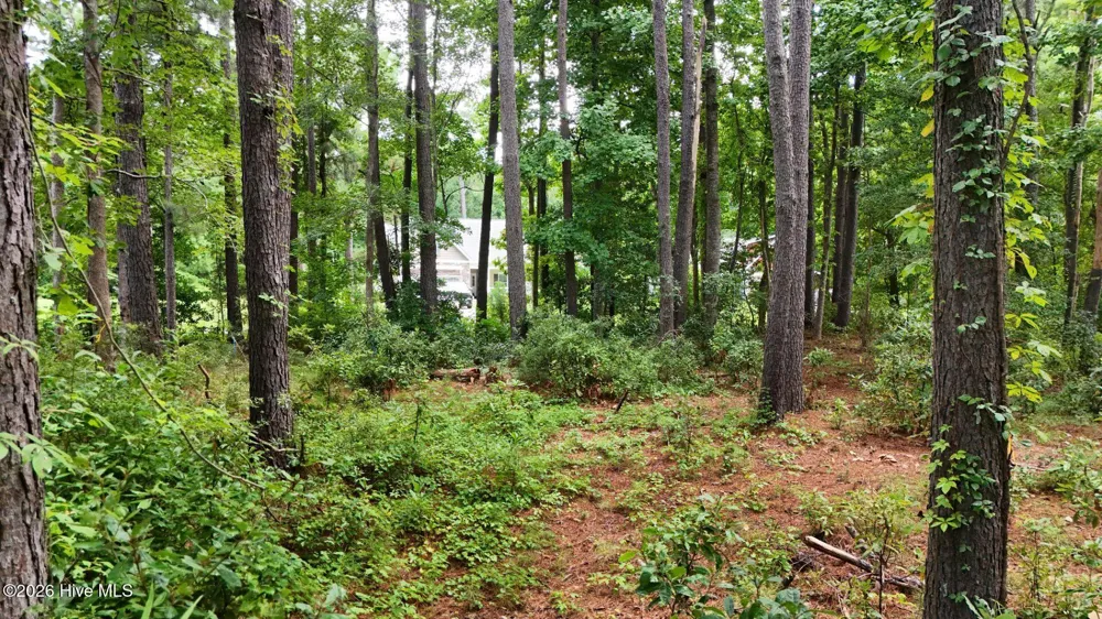 0 Horizon Crest Hampstead, NC 28443