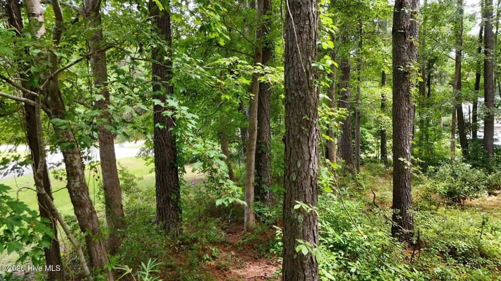 0 Horizon Crest Hampstead, NC 28443