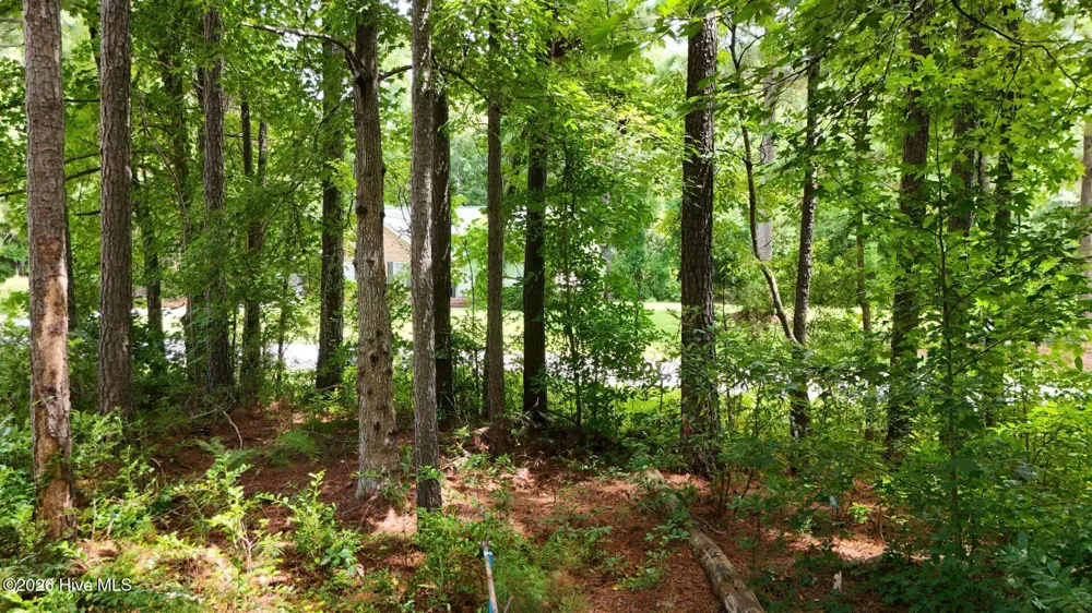 0 Horizon Crest Hampstead, NC 28443
