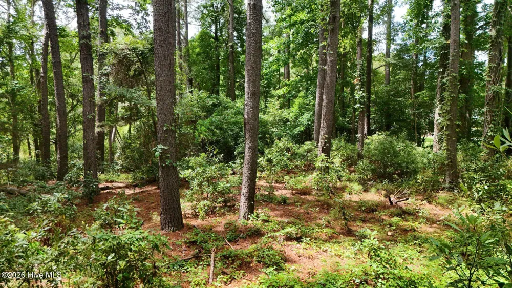 0 Horizon Crest Hampstead, NC 28443
