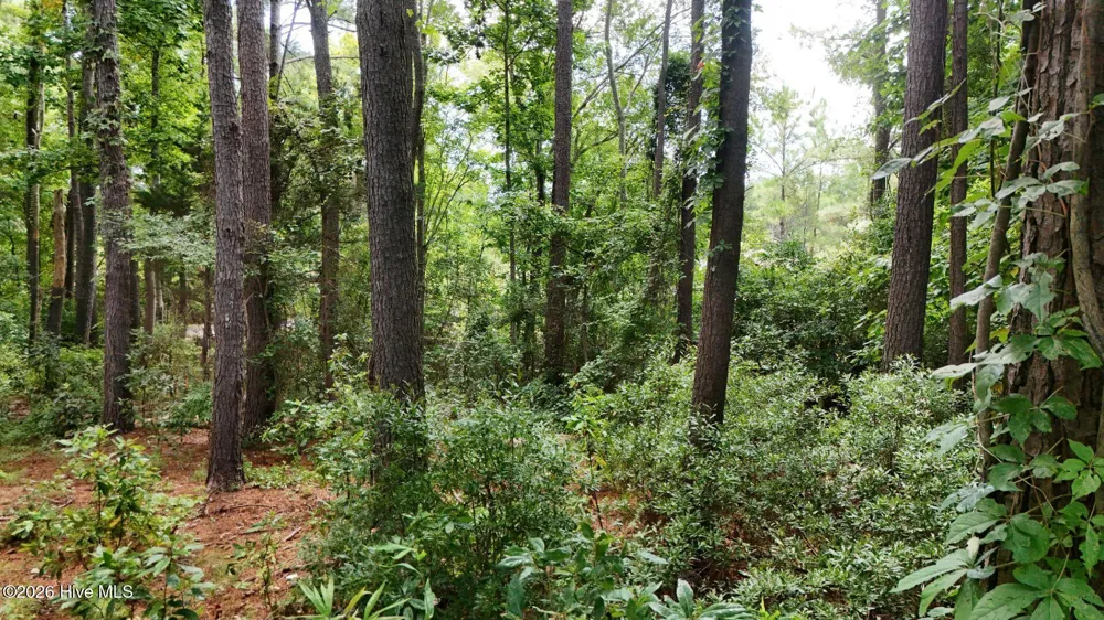 0 Horizon Crest Hampstead, NC 28443